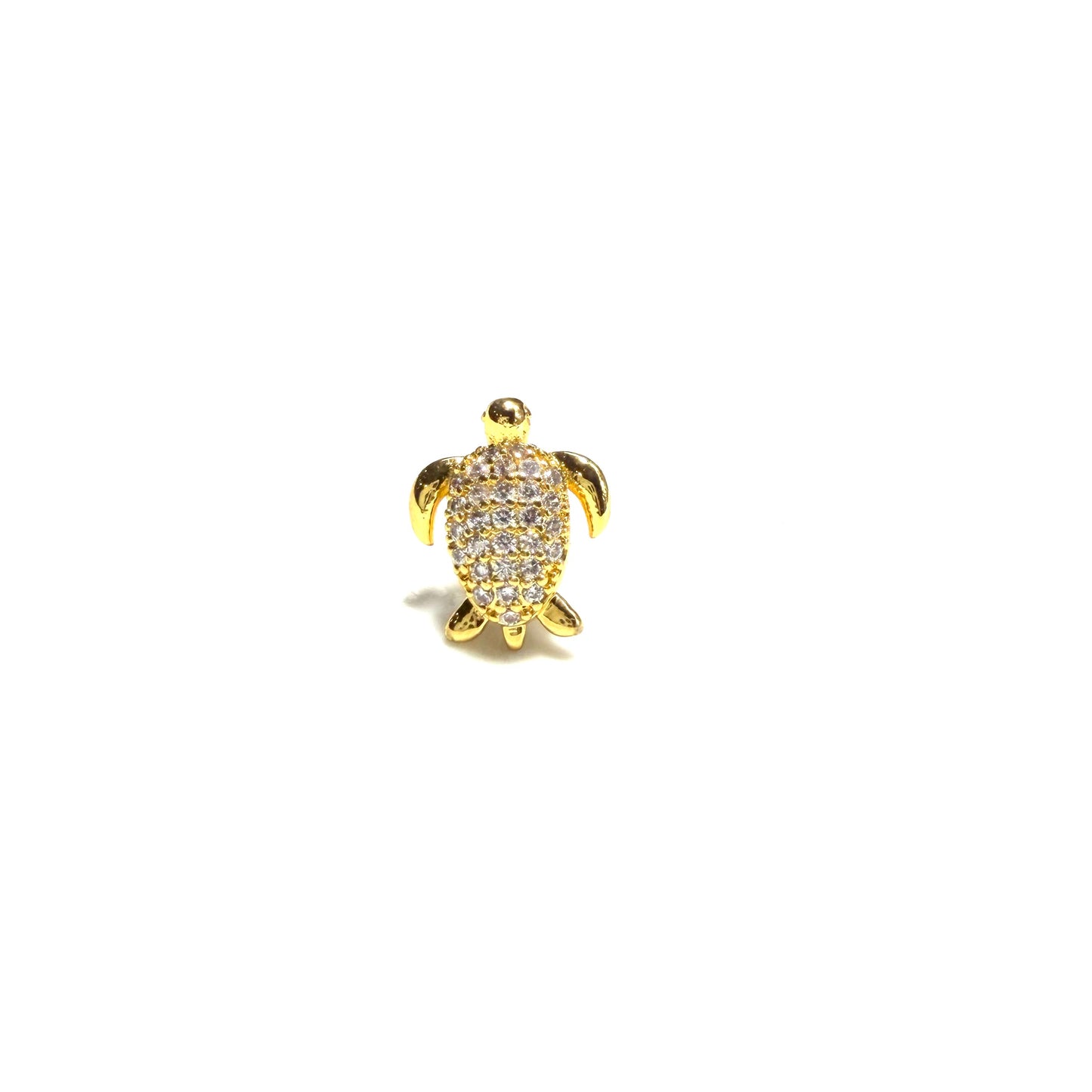 Piercing de Tortuga