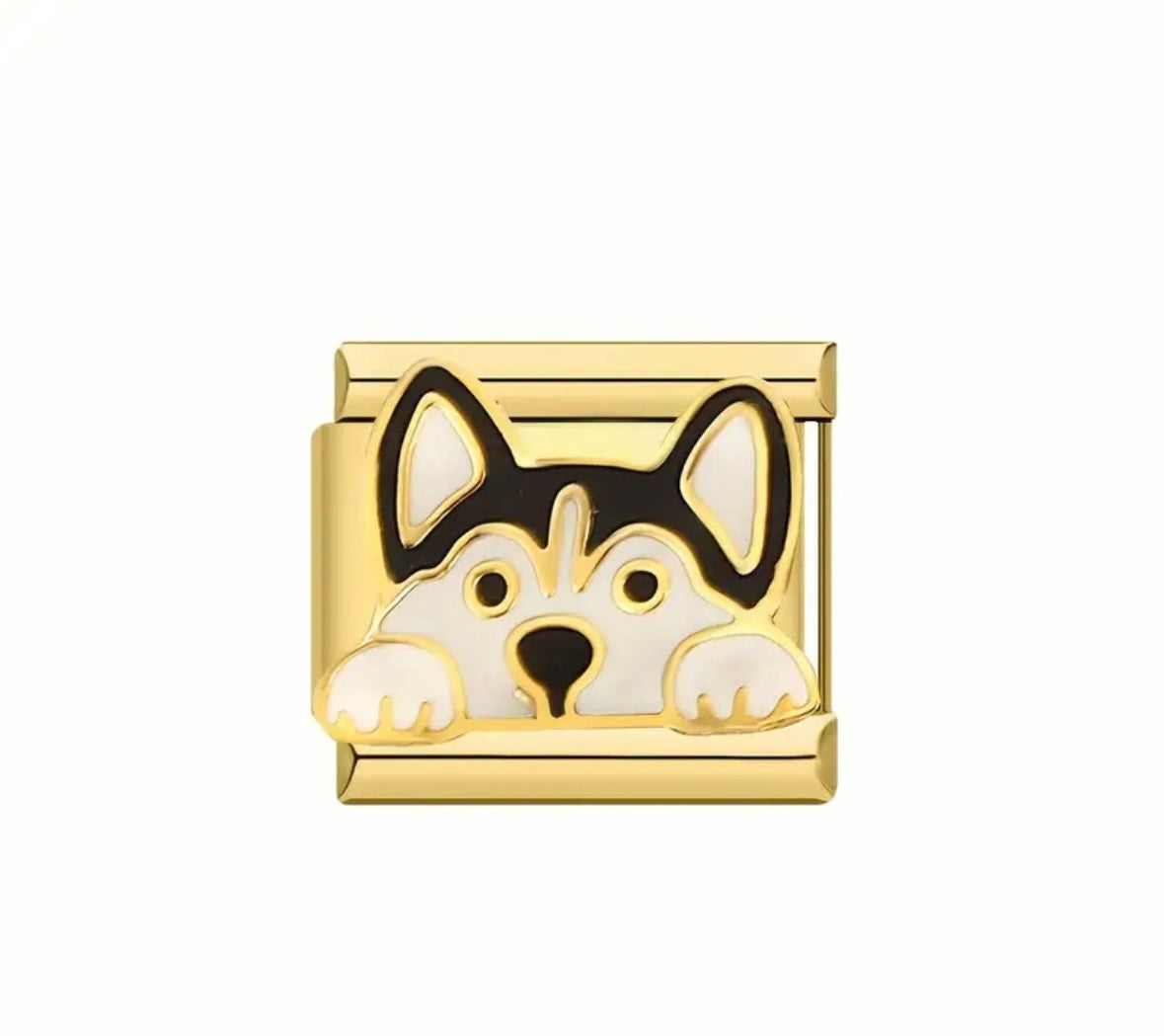 Charm Perro