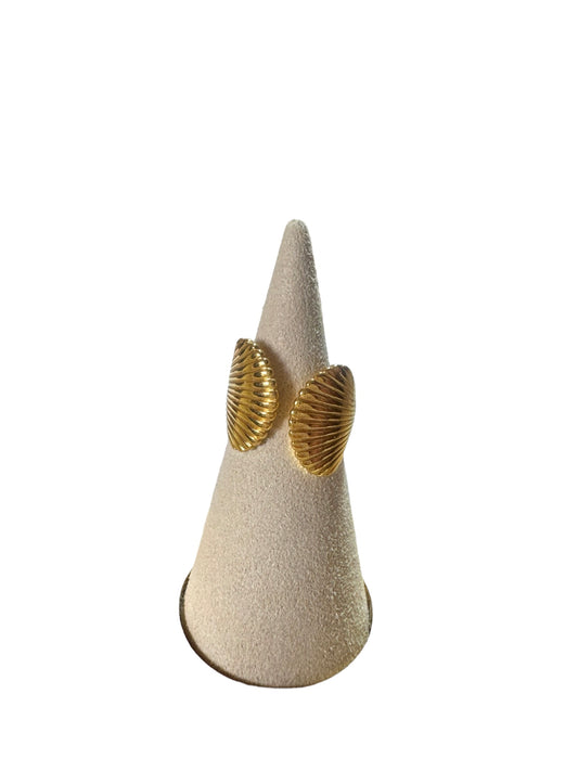 Anillo Concha