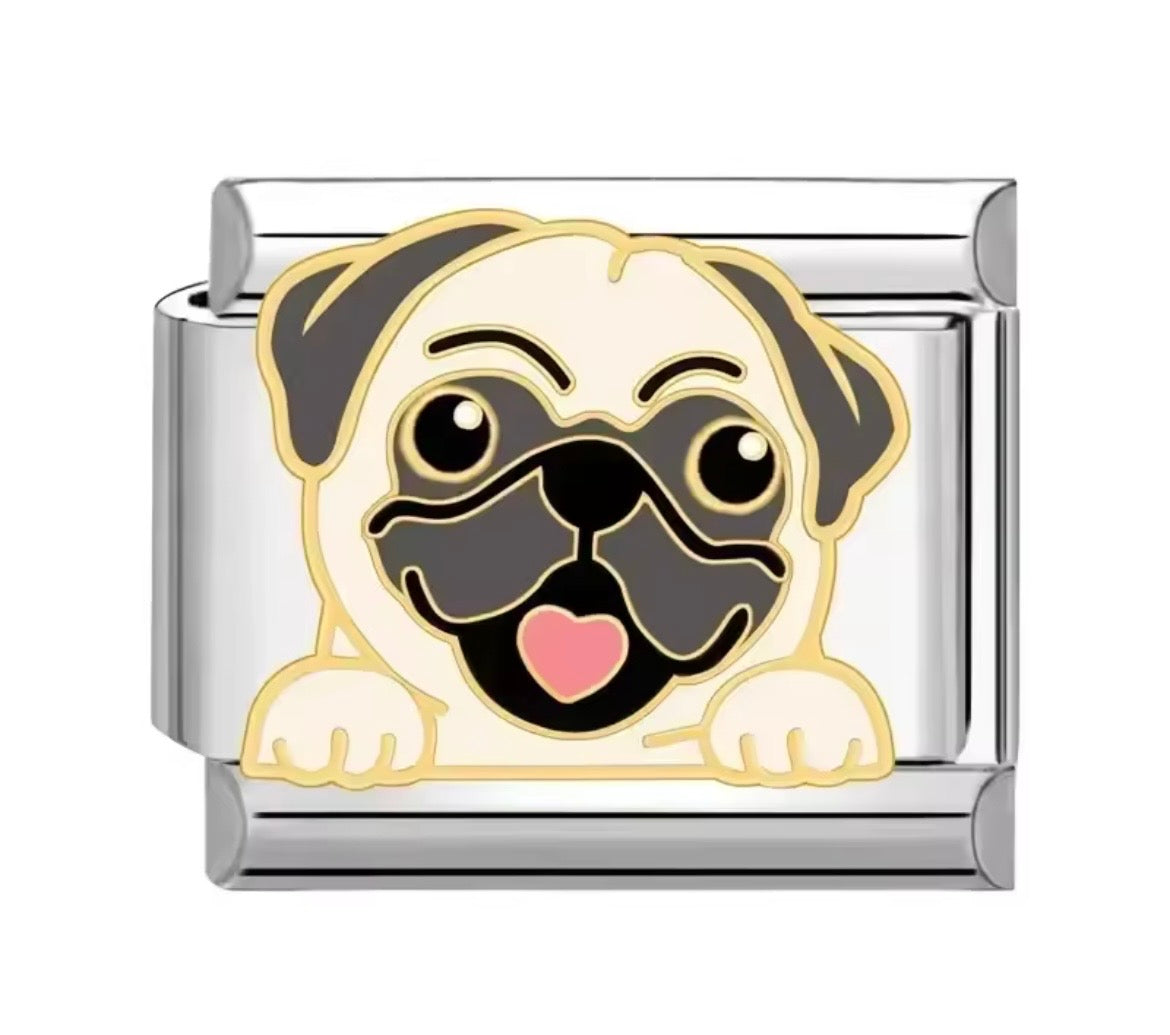 Charm Perro