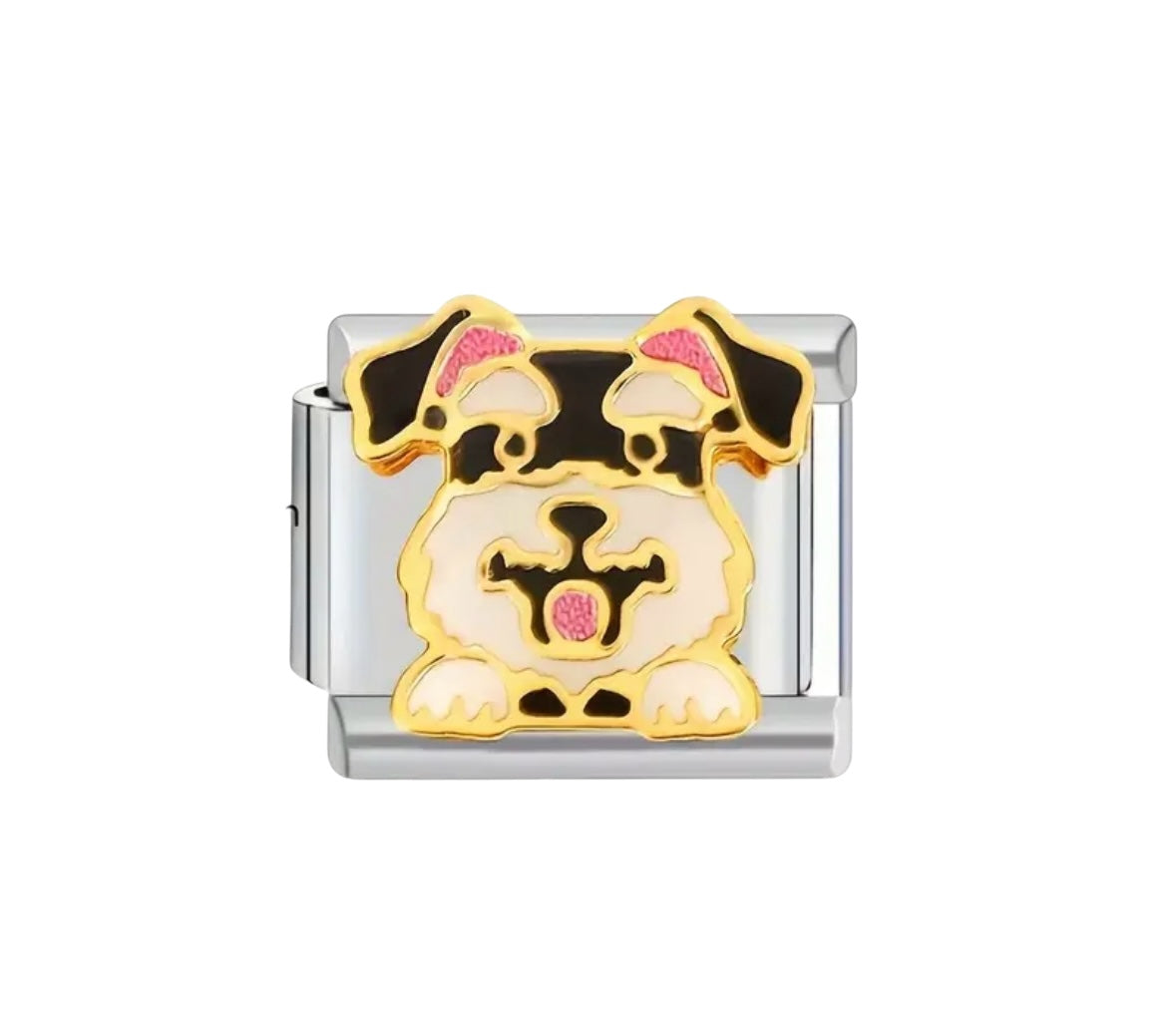 Charm Perro