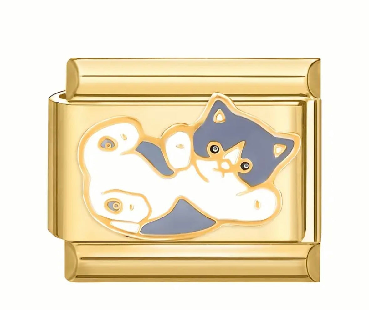 Charm Gato