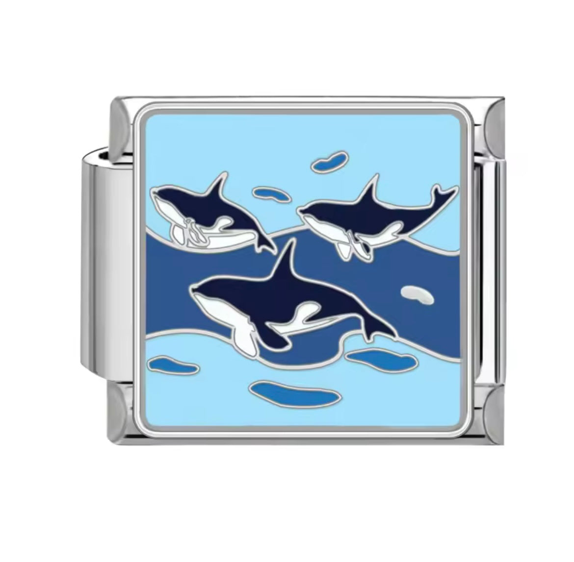 Charm Orcas