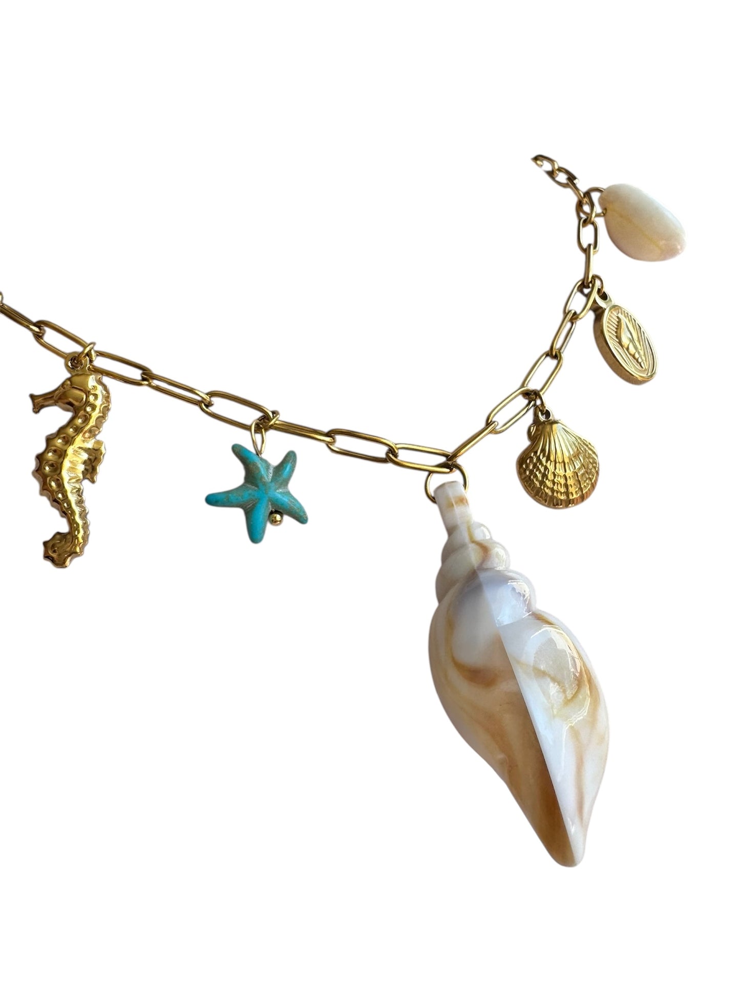 Collar mar